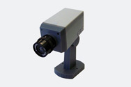 Mock Security Camera - Motion Activated